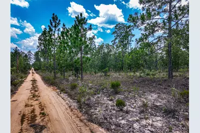 Lime Way, Interlachen, FL 32148 - Photo 7