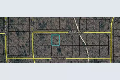 Lot 3 Brierdale Street, Chipley, FL 32428 - Photo 3