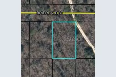 Lot 6 Brierdale Street, Chipley, FL 32428 - Photo 1