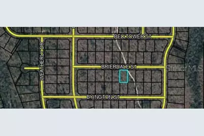 Lot 6 Brierdale Street, Chipley, FL 32428 - Photo 3