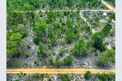 Lime Way, Interlachen, FL 32148 - Photo 5