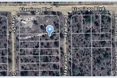 Lime Way, Interlachen, FL 32148 - Photo 9