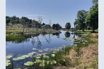 0 SE 110th Street Road, Belleview, FL 34420 - Photo 3