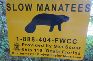 11921 SE 169th Ave Rd, Ocklawaha, FL 32179 - Photo 47