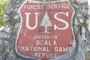 11921 SE 169th Ave Rd, Ocklawaha, FL 32179 - Photo 33