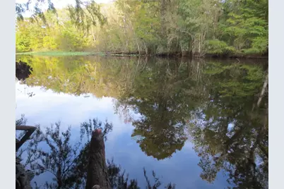 11921 SE 169th Avenue Road, Ocklawaha, FL 32179 - Photo 49