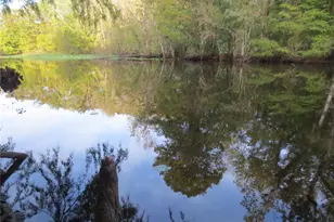 11921 SE 169th Ave Rd, Ocklawaha, FL 32179 - Photo 49