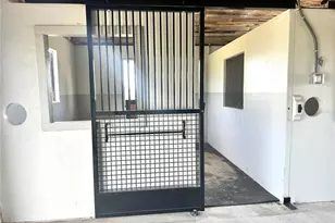 5391 NW 153rd Ct, Morriston, FL 32668 - Photo 11