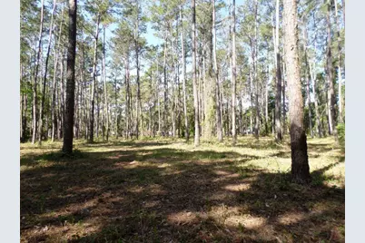 10150 Highway 40  E, Inglis, FL 34449 - Photo 13