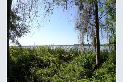 10150 Highway 40  E, Inglis, FL 34449 - Photo 5