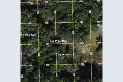 Tbd NW 123rd Place, Citra, FL 32113 - Photo 1