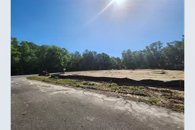 Tbd Guava Terr Loop, Ocklawaha, FL 32179 - Photo 3