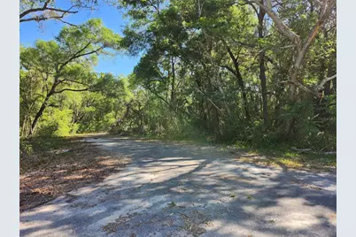 Tbd Guava Terr Loop, Ocklawaha, FL 32179 - Photo 1