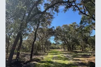 Ne 150th Ave Road #LOT 1, Fort Mc Coy, FL 32134 - Photo 11