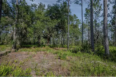 Ne 150th Ave Road #LOT 1, Fort Mc Coy, FL 32134 - Photo 33