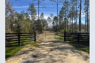 Ne 150th Ave Road #LOT 1, Fort Mc Coy, FL 32134 - Photo 1