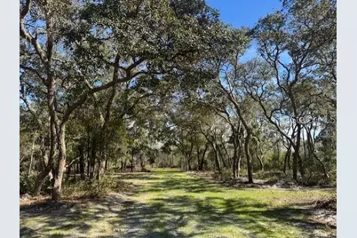 Ne 150th Ave Road #LOT 1, Fort Mc Coy, FL 32134 - Photo 5