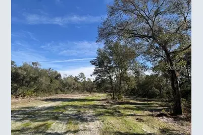 Ne 150th Ave Road #LOT 1, Fort Mc Coy, FL 32134 - Photo 7