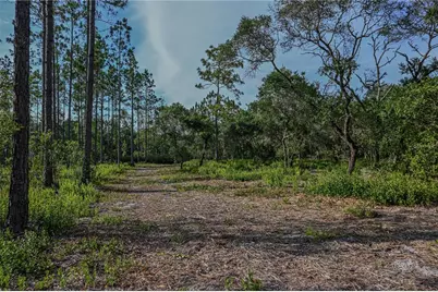 Ne 150th Ave Road #LOT 1, Fort Mc Coy, FL 32134 - Photo 31