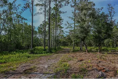 Ne 150th Ave Road #LOT 1, Fort Mc Coy, FL 32134 - Photo 29