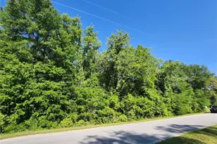 Tbd SW Yazoo Ct, Dunnellon, FL 34431 - Photo 1