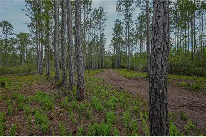 Ne 150th Ave Road #LOT 3, Fort Mc Coy, FL 32134 - Photo 37