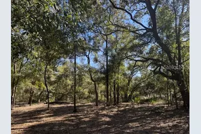 Ne 150th Ave Road #LOT 3, Fort Mc Coy, FL 32134 - Photo 7
