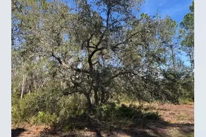 Ne 150th Ave Road #LOT 3, Fort Mc Coy, FL 32134 - Photo 5
