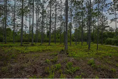 Ne 150th Ave Road #LOT 3, Fort Mc Coy, FL 32134 - Photo 27