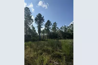Ne 150th Ave Road #LOT 3, Fort Mc Coy, FL 32134 - Photo 21
