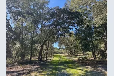 Ne 150th Ave Road #LOT 3, Fort Mc Coy, FL 32134 - Photo 9