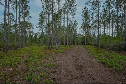 Ne 150th Ave Road #LOT 3, Fort Mc Coy, FL 32134 - Photo 35