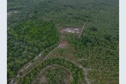 Ne 150th Ave Road #LOT 3, Fort Mc Coy, FL 32134 - Photo 25