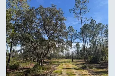 Ne 150th Ave Road #LOT 3, Fort Mc Coy, FL 32134 - Photo 1