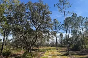 NE 150th Ave Rd, Fort Mc Coy, FL 32134 - Photo 1