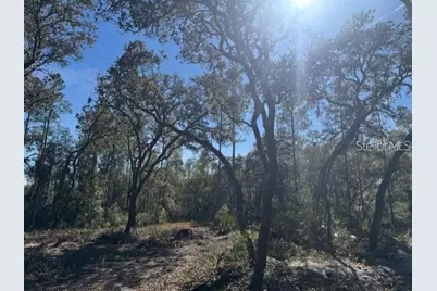 Ne 150th Ave Road #LOT 3, Fort Mc Coy, FL 32134 - Photo 11