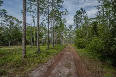 Ne 150th Ave Road #LOT 3, Fort Mc Coy, FL 32134 - Photo 45