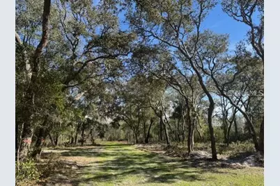 Ne 150th Ave Road #LOT 3, Fort Mc Coy, FL 32134 - Photo 3