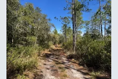 Ne 150th Ave Road #LOT 3, Fort Mc Coy, FL 32134 - Photo 17