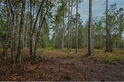 Ne 150th Ave Road #LOT 3, Fort Mc Coy, FL 32134 - Photo 43