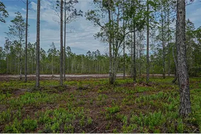 Ne 150th Ave Road #LOT 3, Fort Mc Coy, FL 32134 - Photo 29
