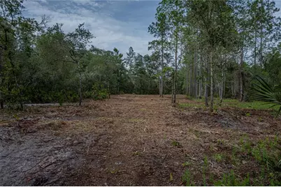 Ne 150th Ave Road #LOT 3, Fort Mc Coy, FL 32134 - Photo 39