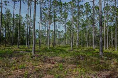 Ne 150th Ave Road #LOT 3, Fort Mc Coy, FL 32134 - Photo 47