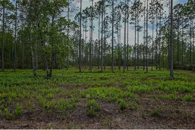 Ne 150th Ave Road #LOT 3, Fort Mc Coy, FL 32134 - Photo 31