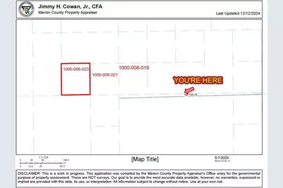 Tbd NE 156th Lane, Fort Mc Coy, FL 32134 - Photo 7