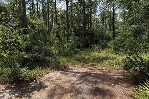 Tbd NE 156th Ln, Fort Mc Coy, FL 32134 - Photo 1