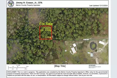 Tbd NE 156th Lane, Fort Mc Coy, FL 32134 - Photo 5