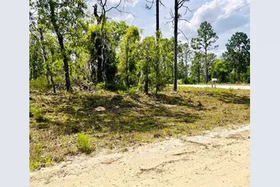 0000 NE 132 Terrace Terrace, Williston, FL 32696 - Photo 3