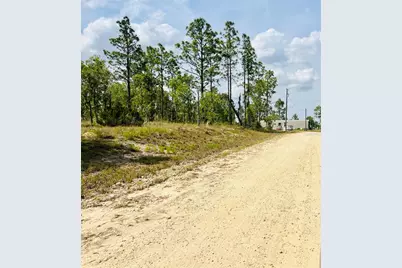 0000 NE 132 Terrace Terrace, Williston, FL 32696 - Photo 3