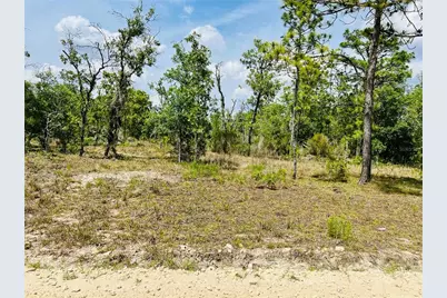 0000 NE 132 Terrace Terrace, Williston, FL 32696 - Photo 3